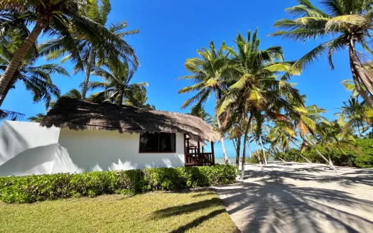 Inmobiliaria en Mérida,INMAYAB | Casa Caro Casa Caro ofrece un ambiente único junto al mar, con más de 200 cocales que rodean la propiedad y proporcionan privacidad y belleza natural.